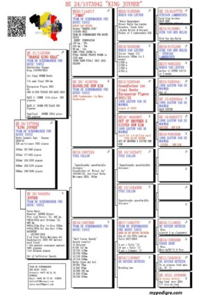 Lot 09 - Top OLR Performer