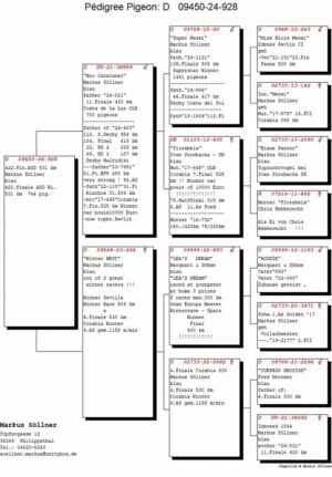 Lot 07 - Top OLR Performance & Breeding