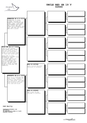 Lot 10 - "Uncle Red" Top Breeder and full Brother to "Geoff"