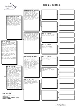 Lot 14 - "Cillian" Full brother to "Little One"