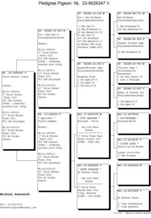 Lot 01 - Dtr. of the "Giewont Couple"